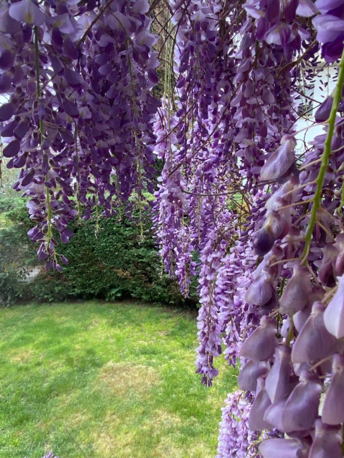 B&B Fior Di Toscana Serravalle Pistoiese Esterno foto