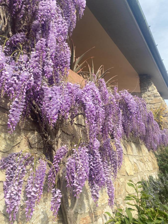 B&B Fior Di Toscana Serravalle Pistoiese Esterno foto