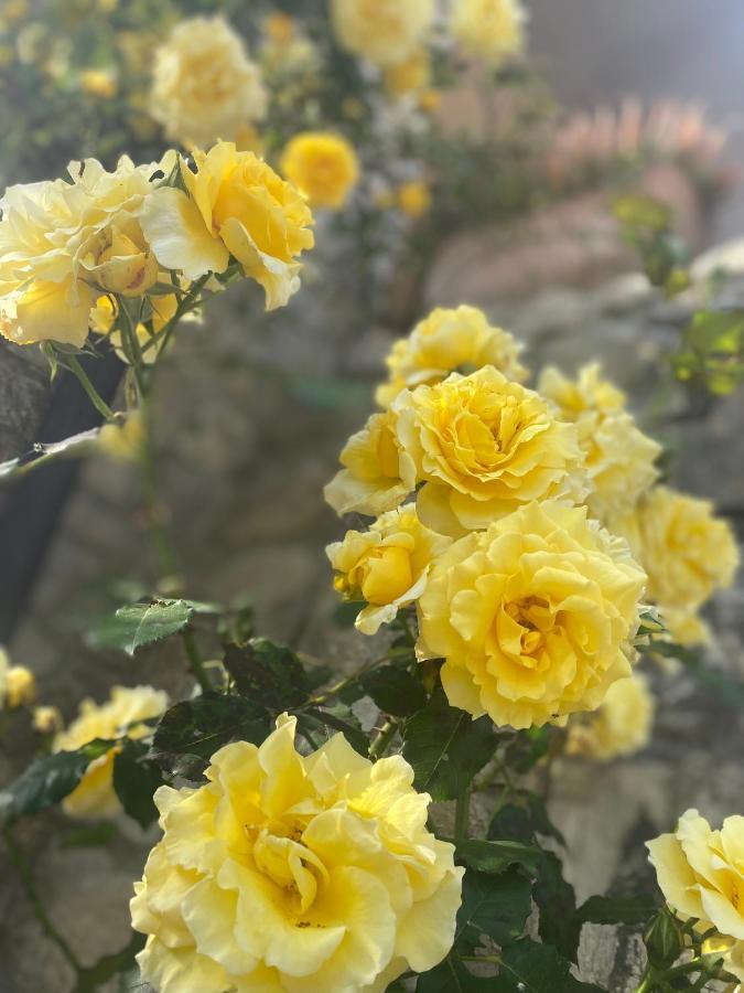 B&B Fior Di Toscana Serravalle Pistoiese Esterno foto
